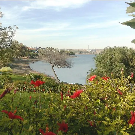 Desiray Beach Apartamento *